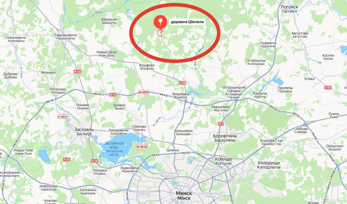 Находка в Шепелево